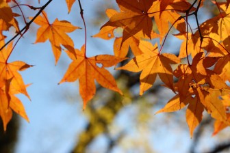 Every leaf that you keep on turning